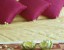 Angkor Holiday Hotel Gallery